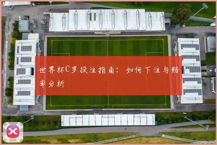 世界杯C罗投注指南：如何下注与赔率分析