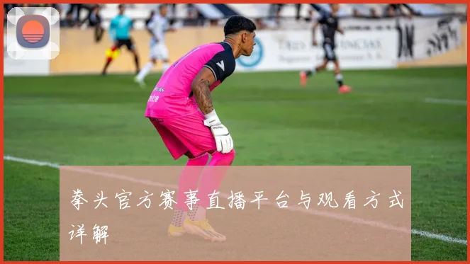 拳头官方赛事直播平台与观看方式详解